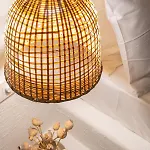 L'olive Homes