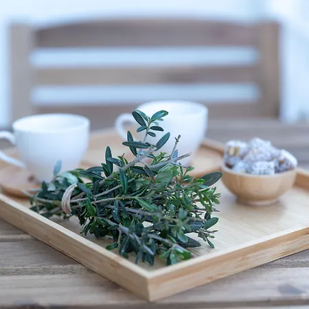 L'olive Homes 말마리스